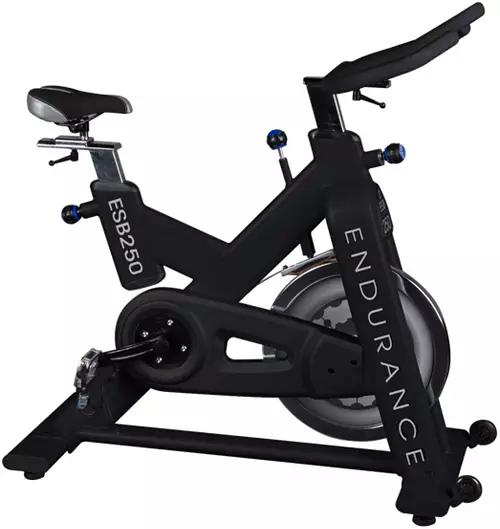 Body-Solid ESB250 Indoor Exercise Bike