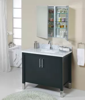 Empire Industries Contempo Collection 36 Inch Contemporary Vanity with 2 Cabinet Doors