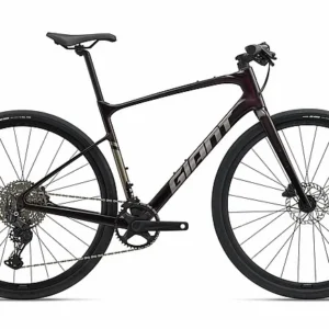 Giant 2025 Fastroad AR Advanced 2 Bike