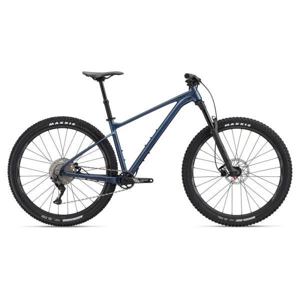 Giant Fathom 2 29er Mountain Bike 2022
