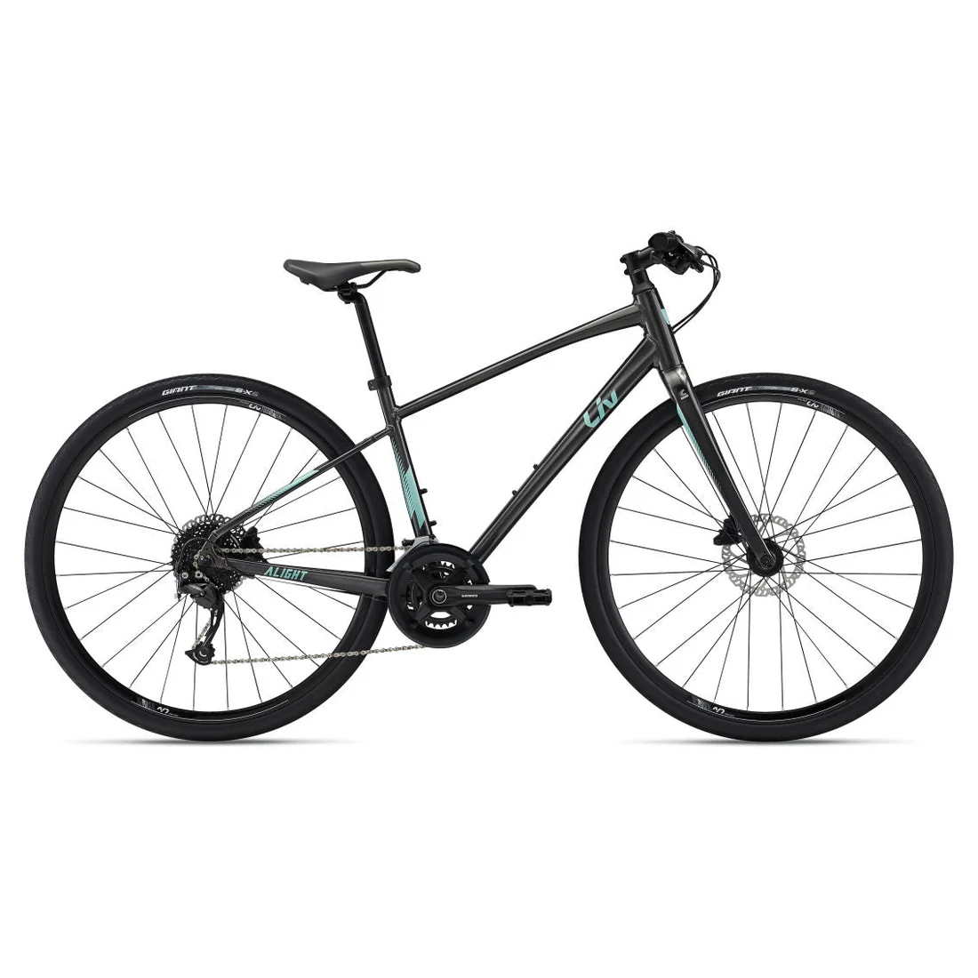 Liv Alight 1 DD Disc Hybrid Bike 2022