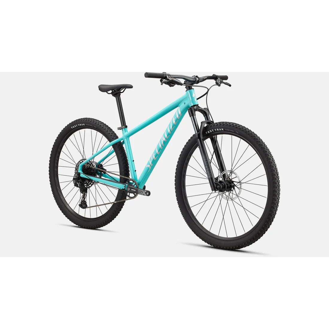 Specialized Rockhopper Expert 29 Mountain Bike